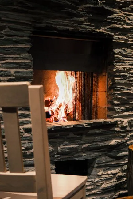 Wood-burning fireplace