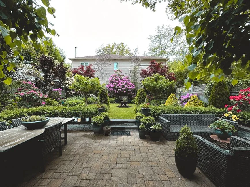 Backyard landscaping