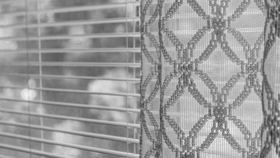Window blinds